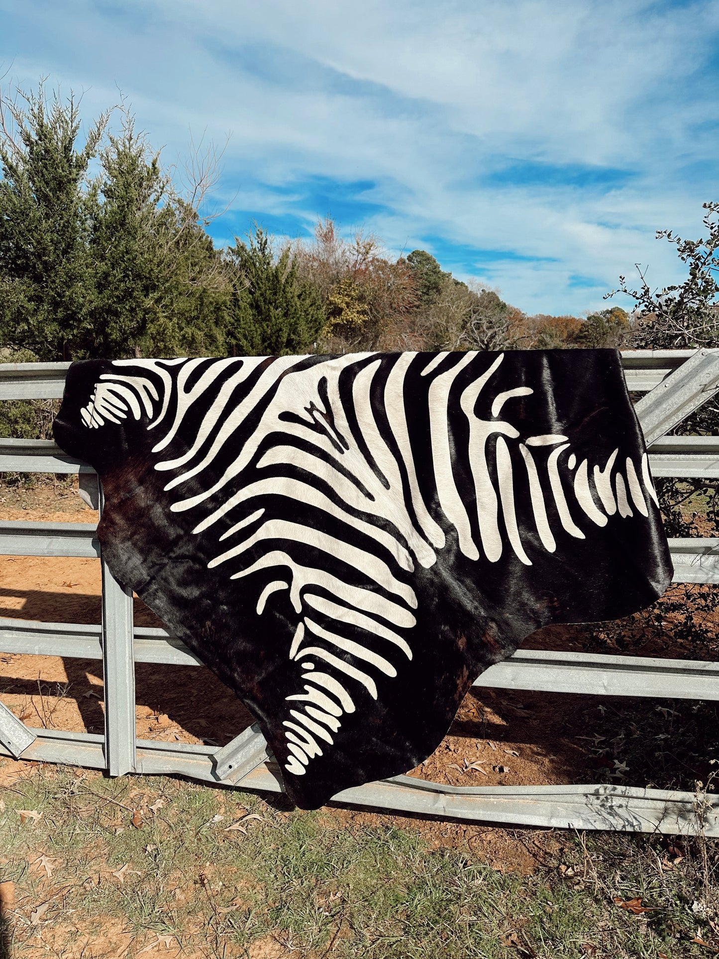 The Jumbo Zebra Cowhide Rug