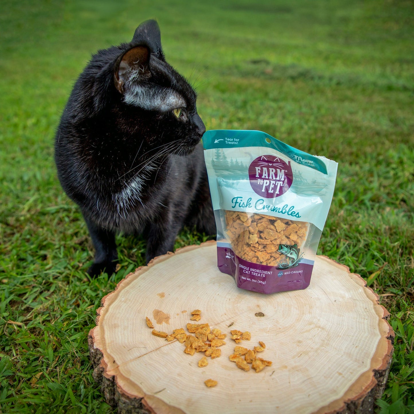 Fish Crumbles for Cats | 100% Protein Cat Treats