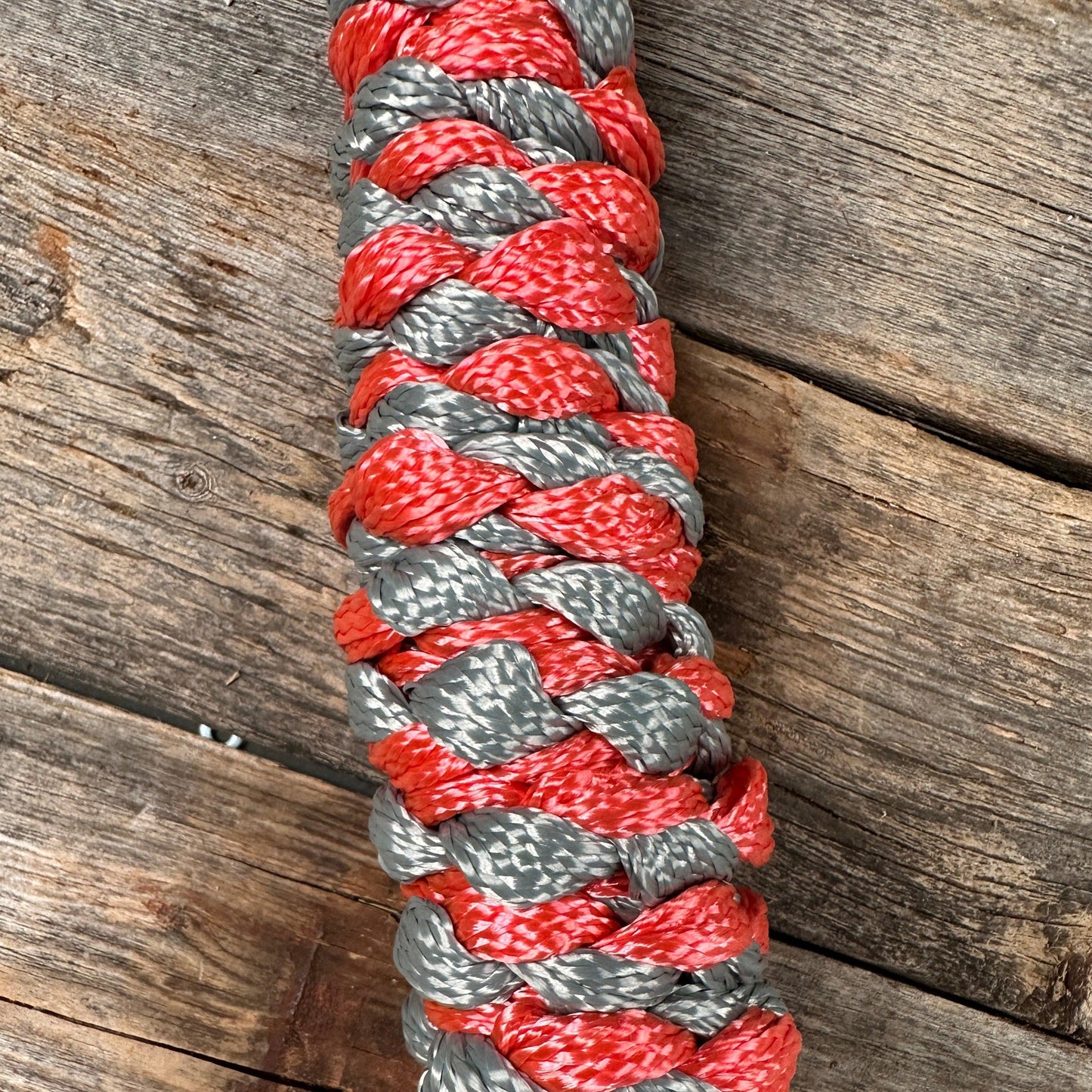 Coral and Grey Mule Tape Halter