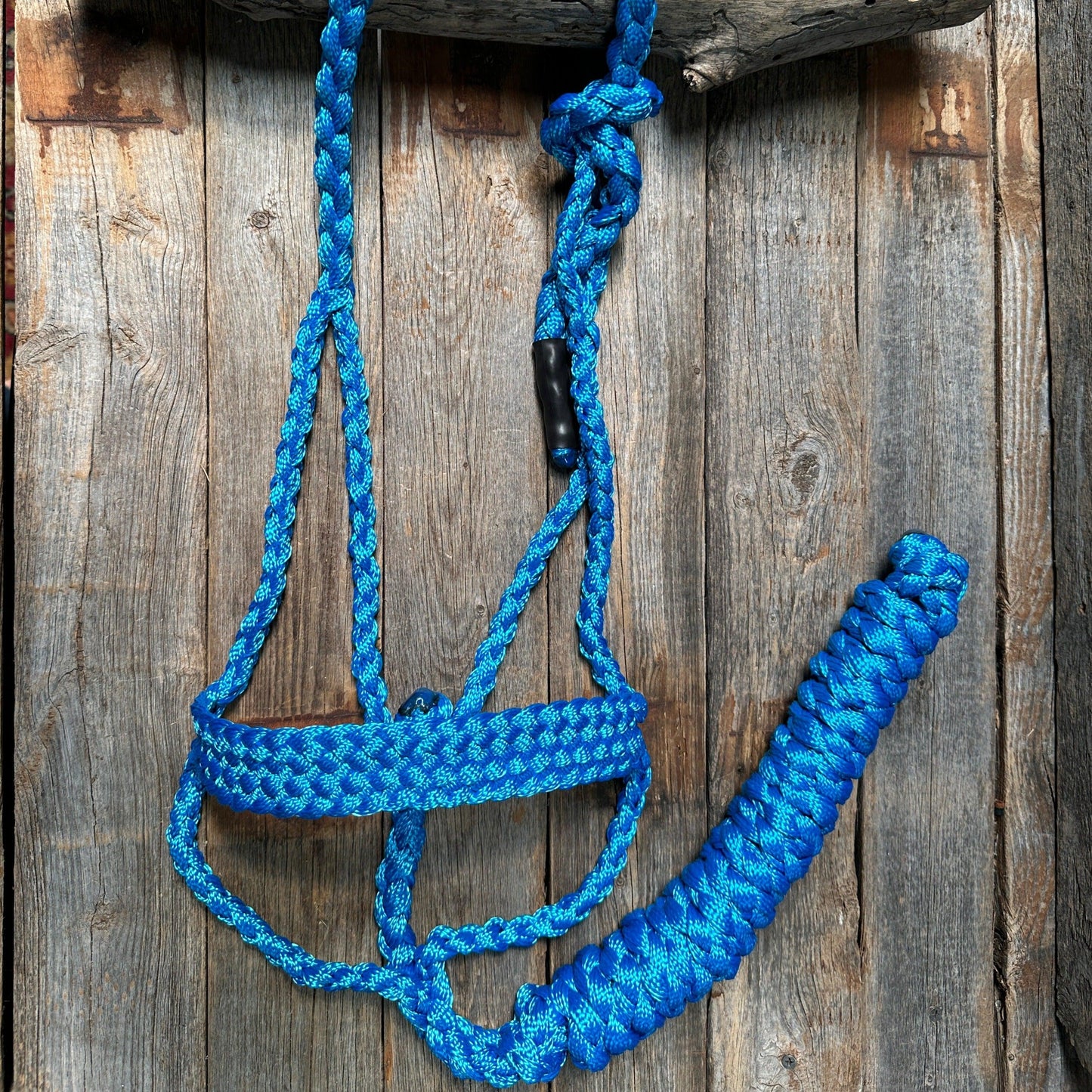 Blue Mule Tape Halter