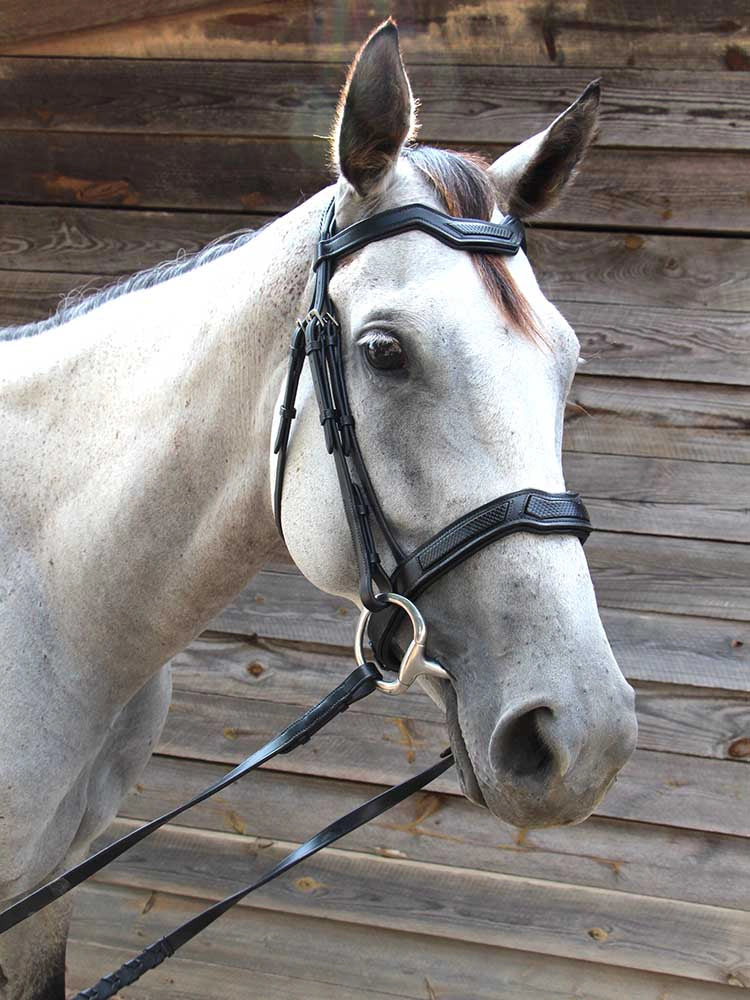 Cobra Snakeskin-Embossed Monocrown Bridle