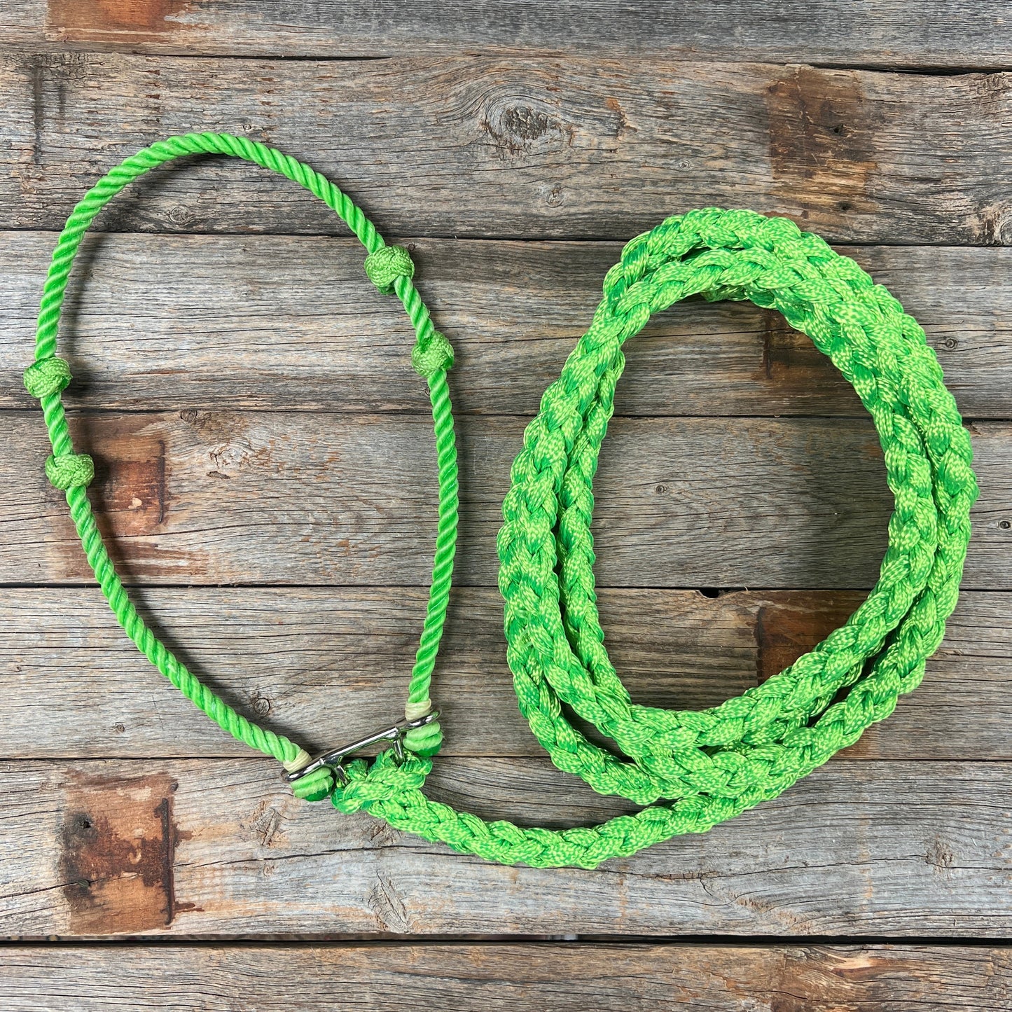 Lariat Noseband and Lead - Assorted Colors