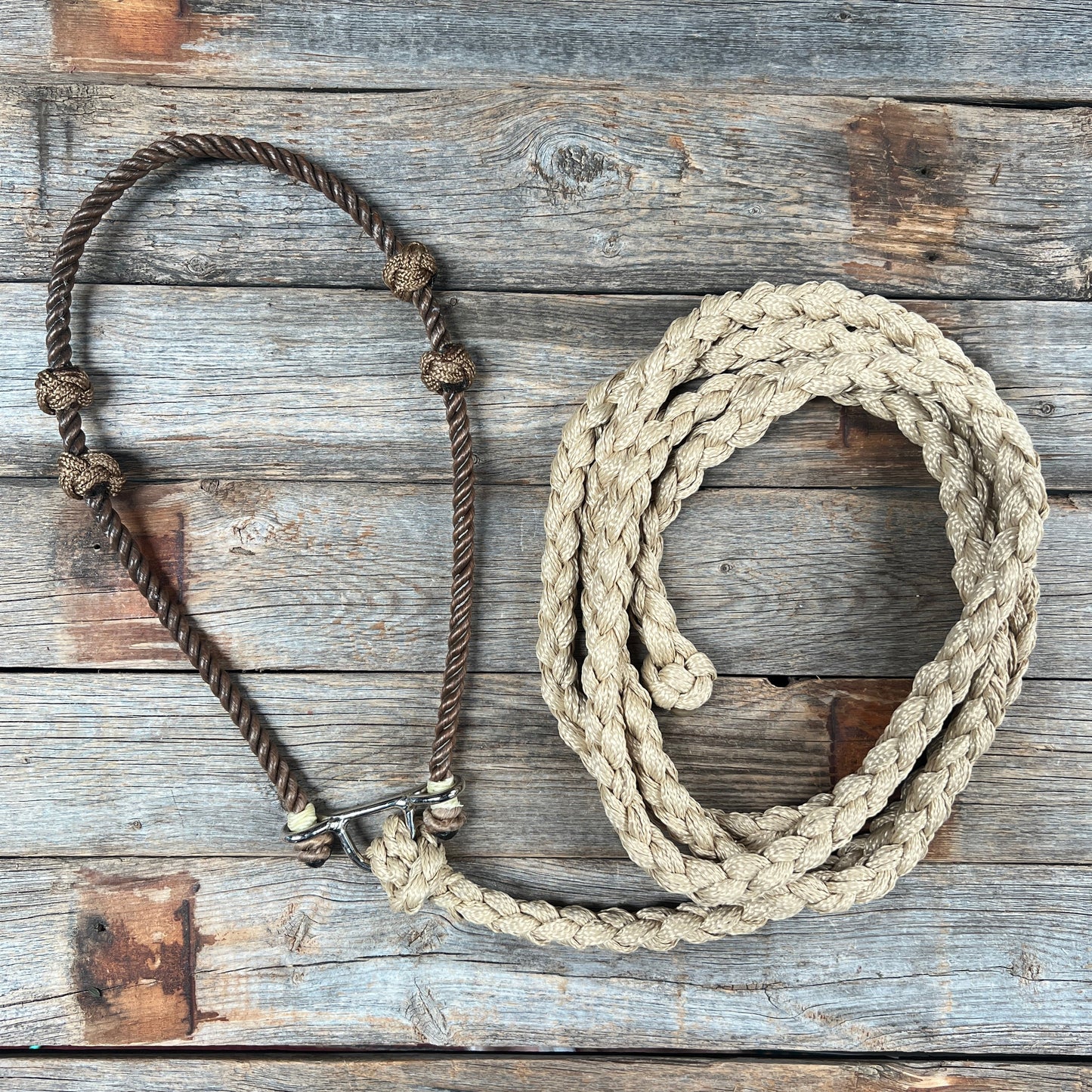 Lariat Noseband and Lead - Assorted Colors