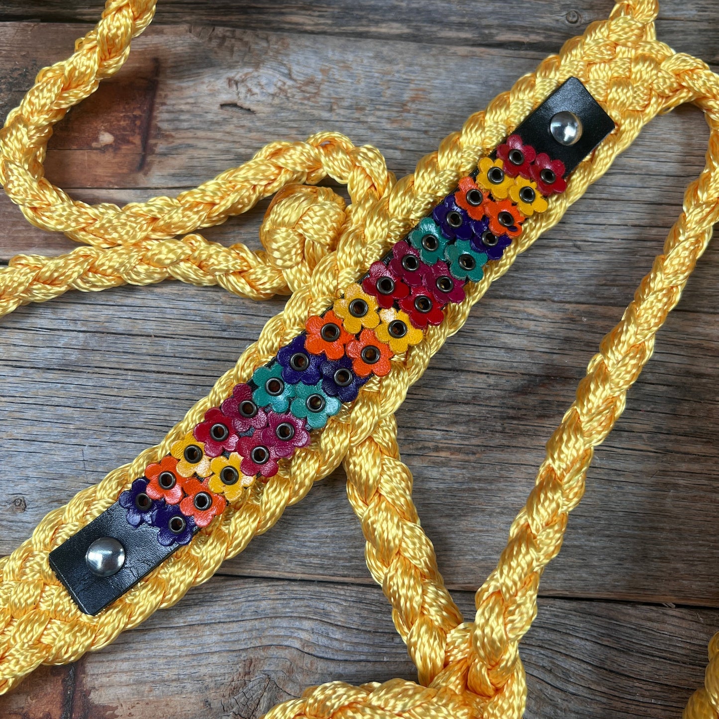 Gold Mule Tape Halter - Multicolored Flowers #MT237