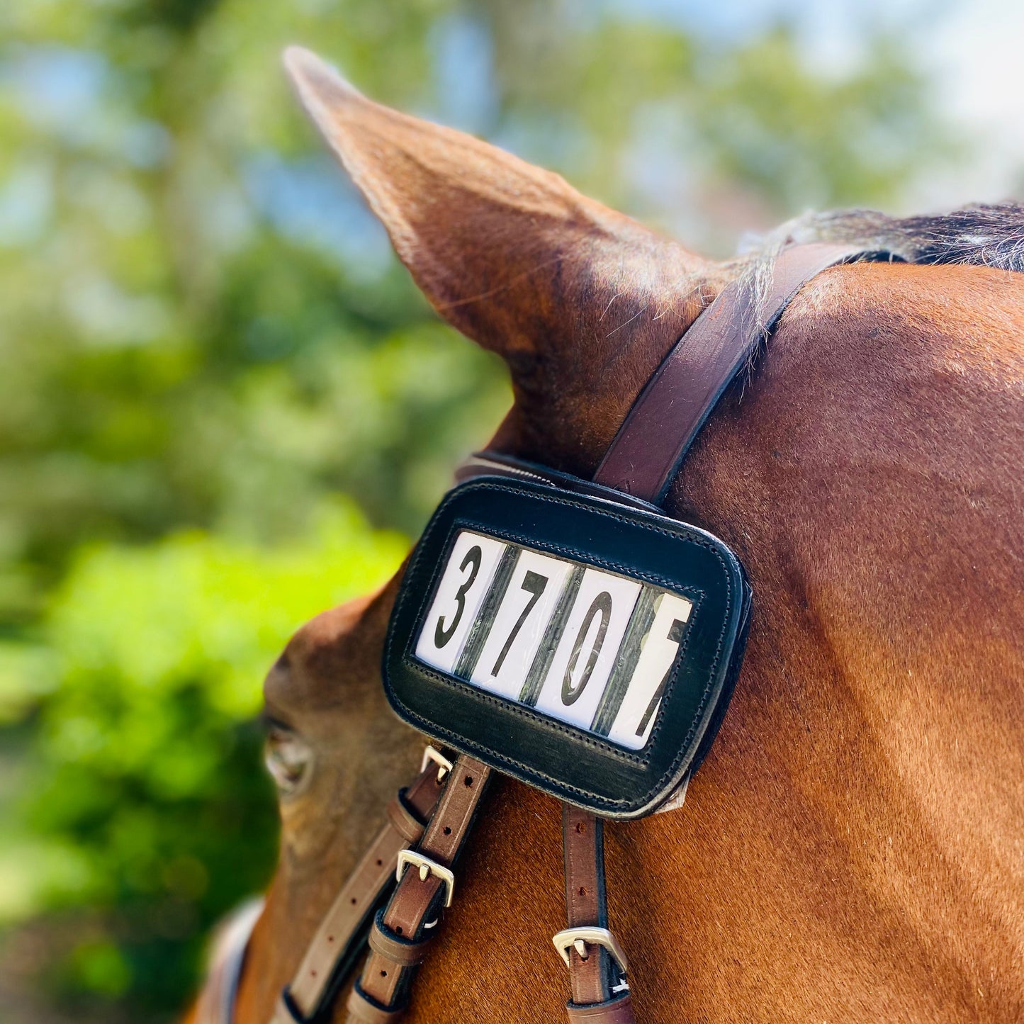PRO4MANCE | # I.D. - Black (Qty. 2, 4-digit)
