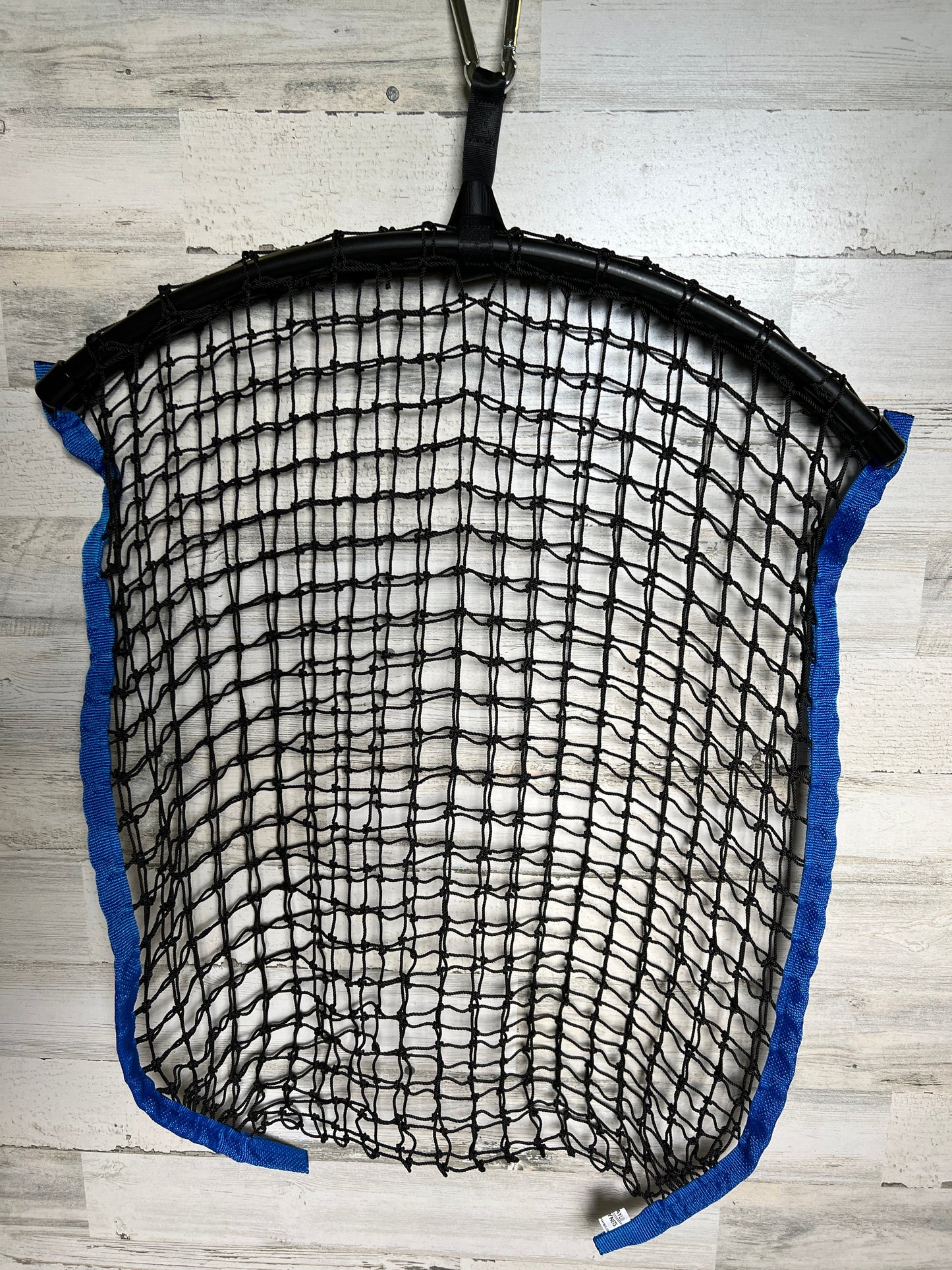 Regular Net