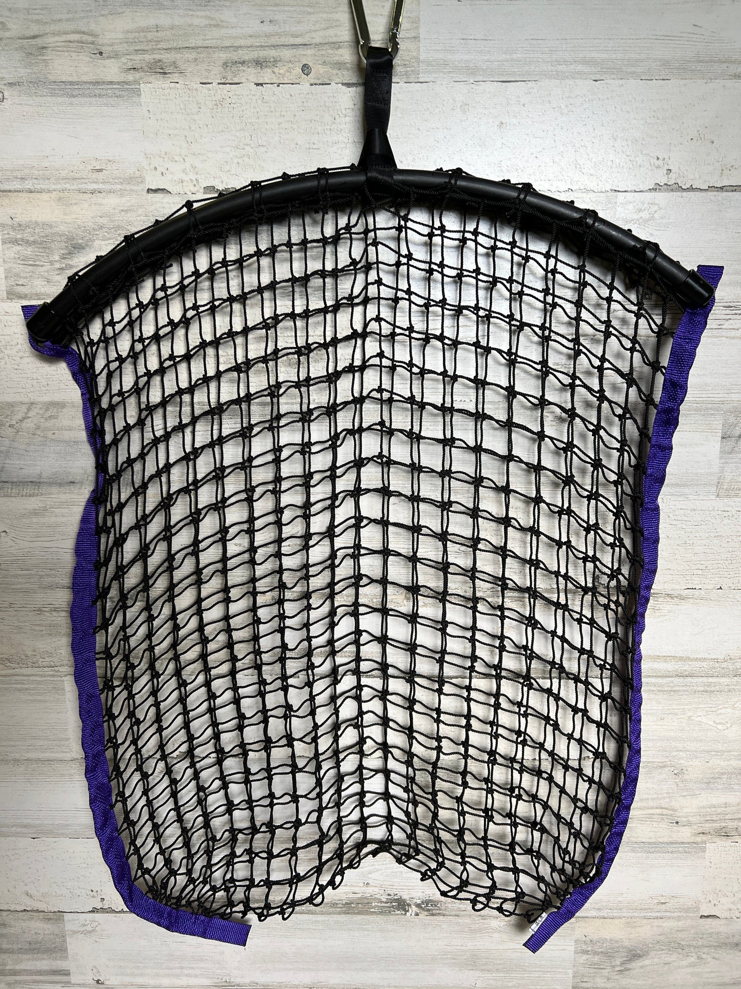 Regular Net