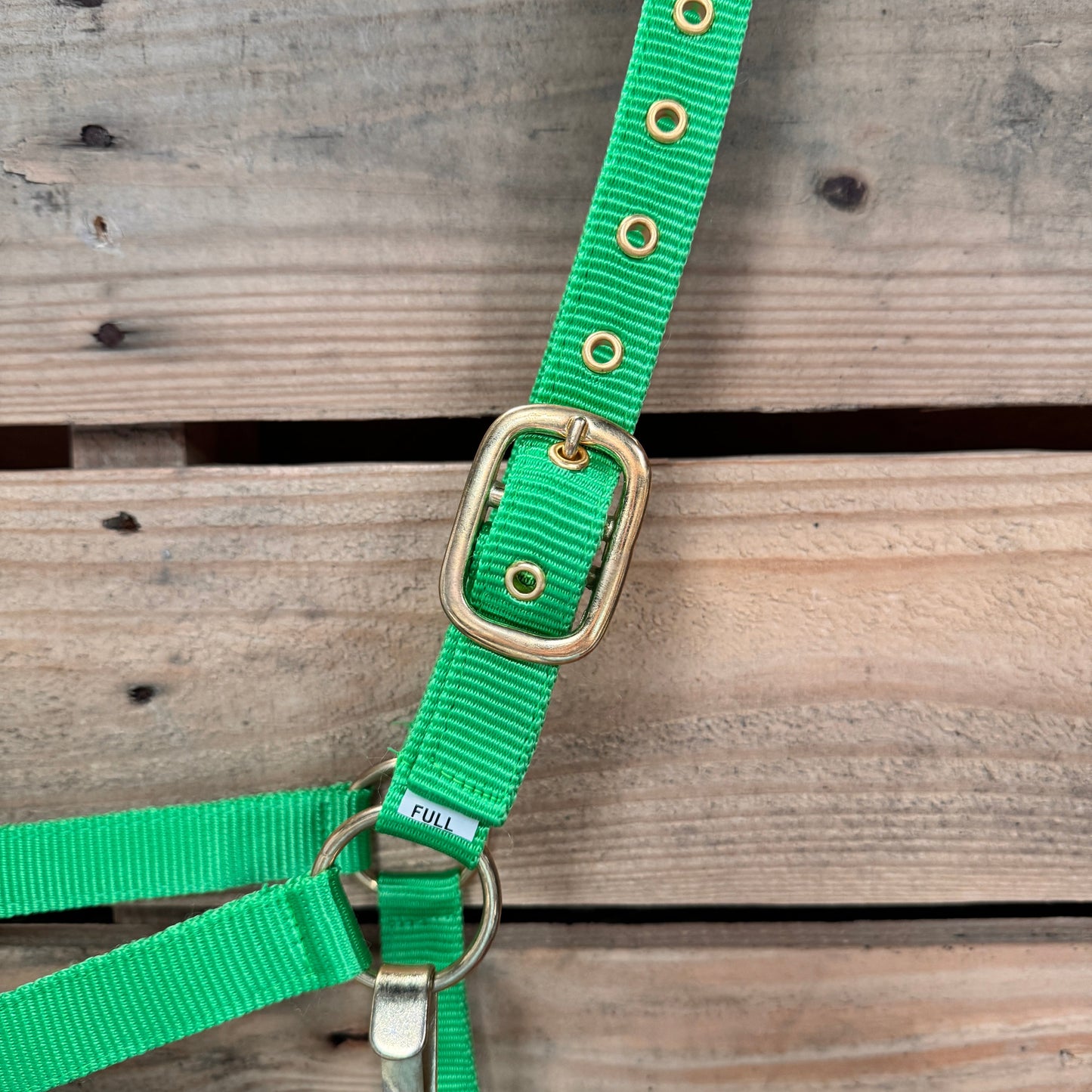 Lime Nylon Horse Halter NHNGN
