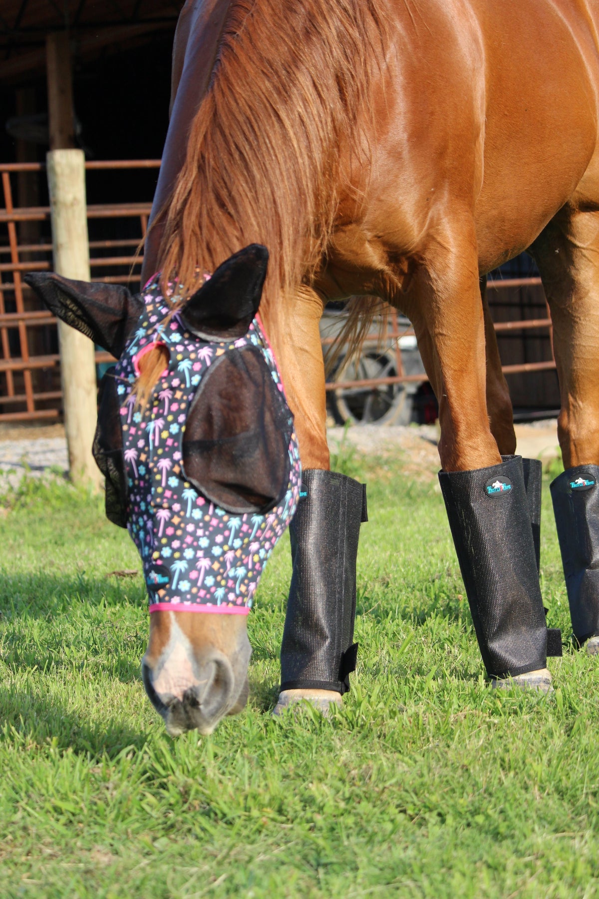 Black Stomp Stopper Fly Boots