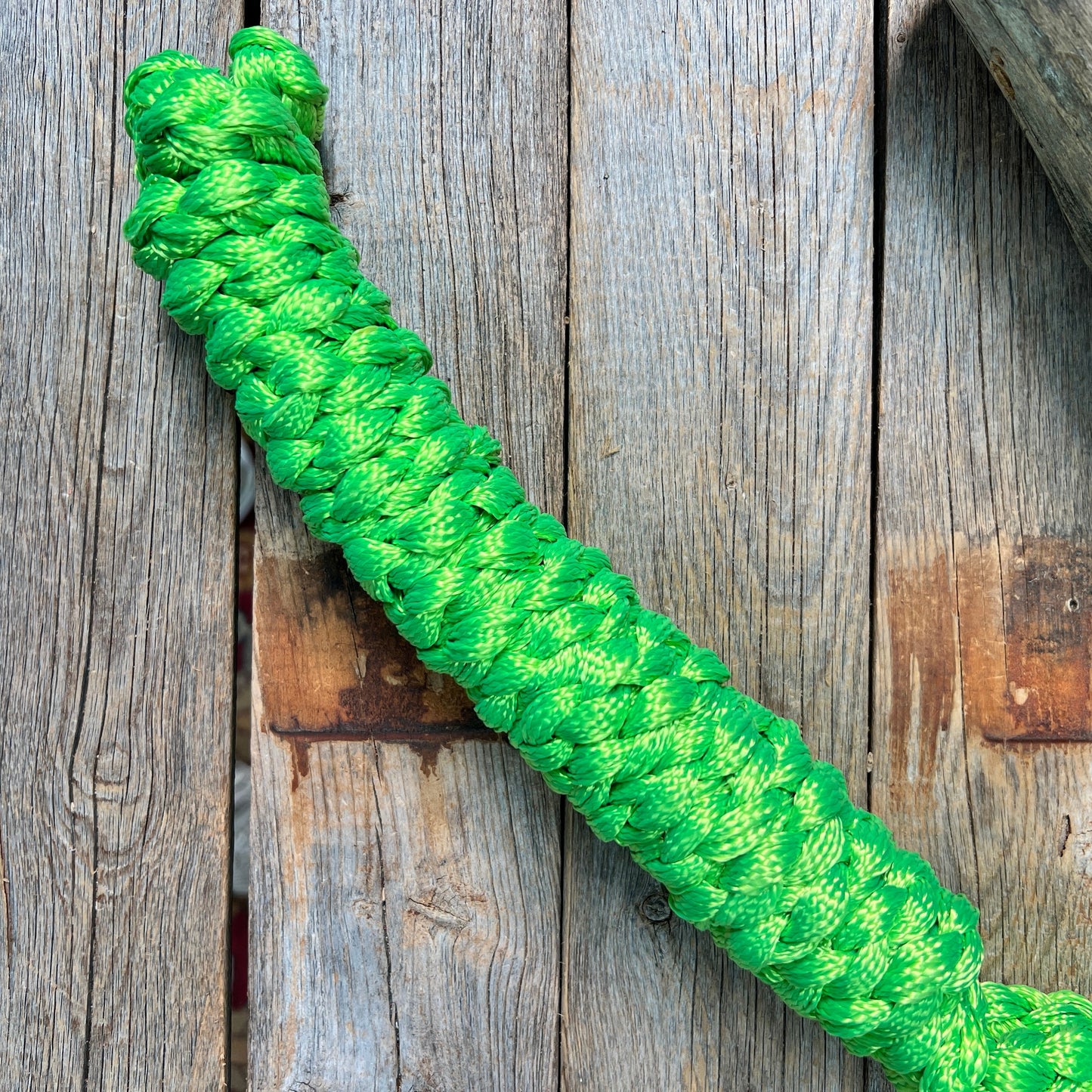 Lime Mule Tape Halter