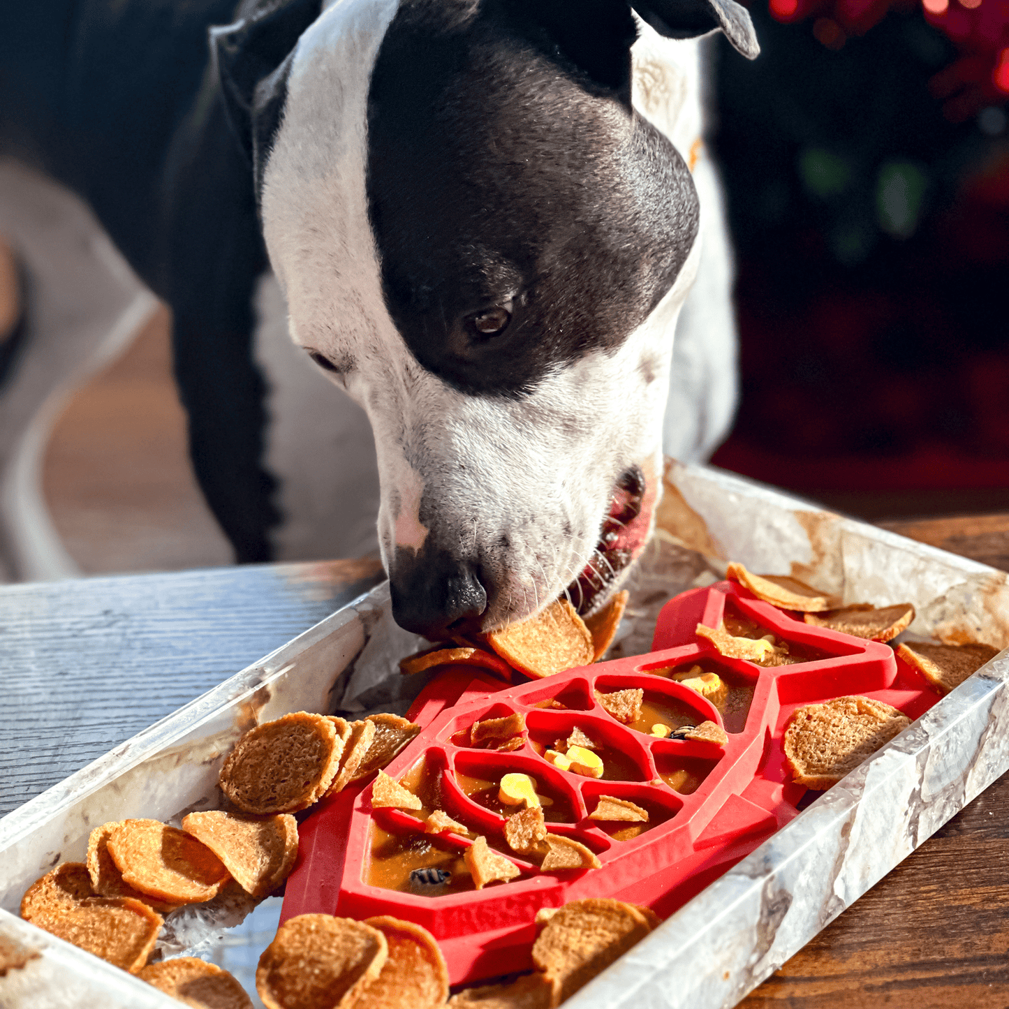 Fish Chips Snack Pack Bundles | Dog Treats for Training & Travel