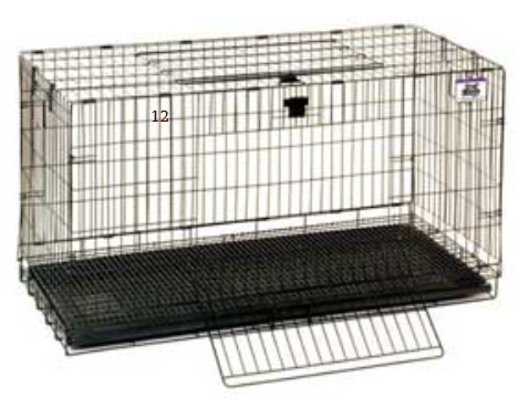 Little Giant: Rabbit Home Pop-Up 30" Medium