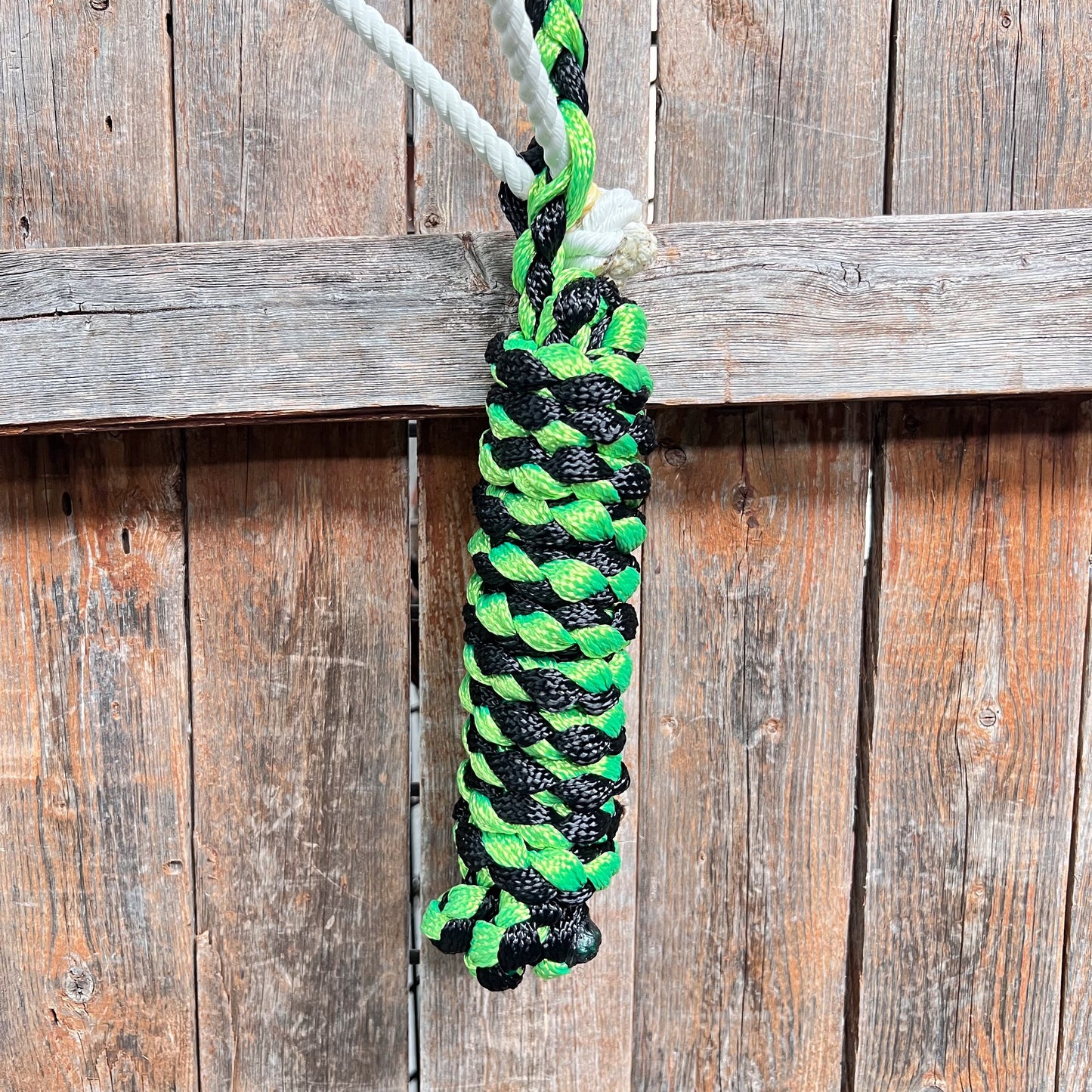 Green and Black Mule Tape Halter with Lariat Noseband