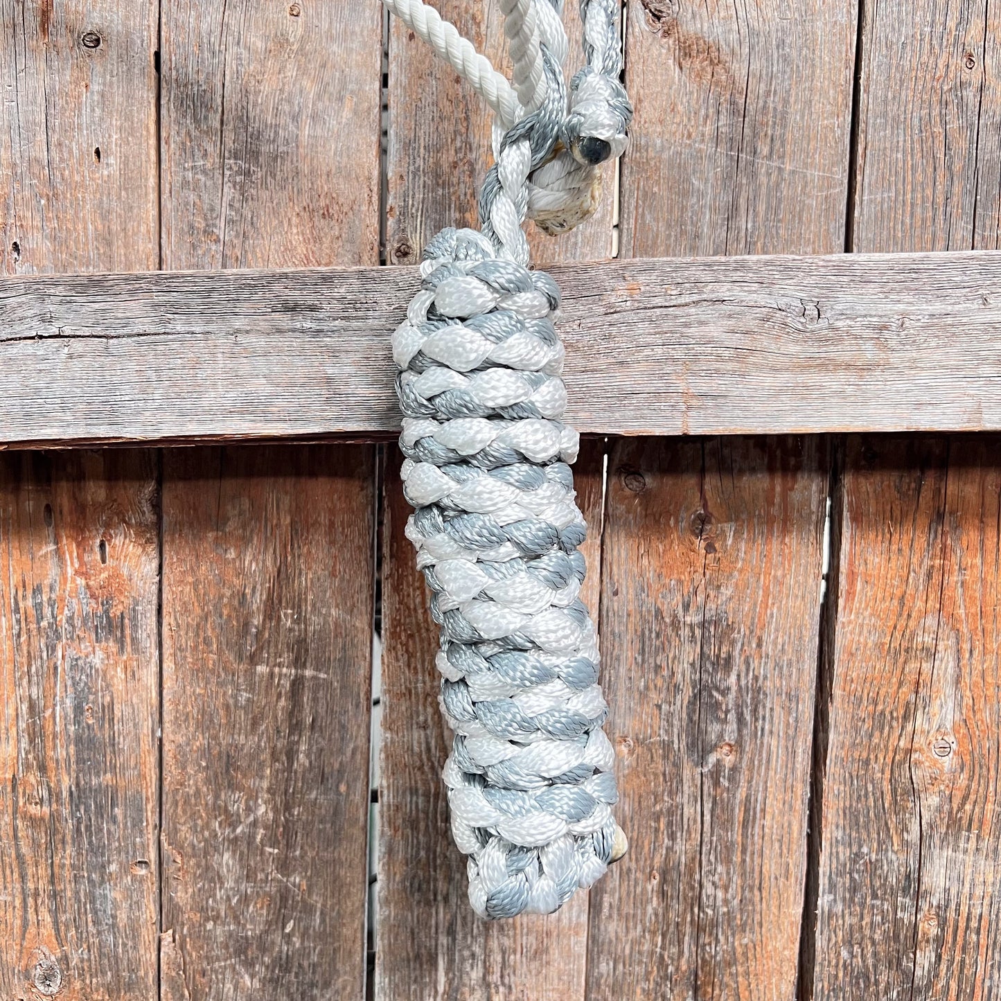 Grey and White Mule Tape Halter with Lariat Noseband