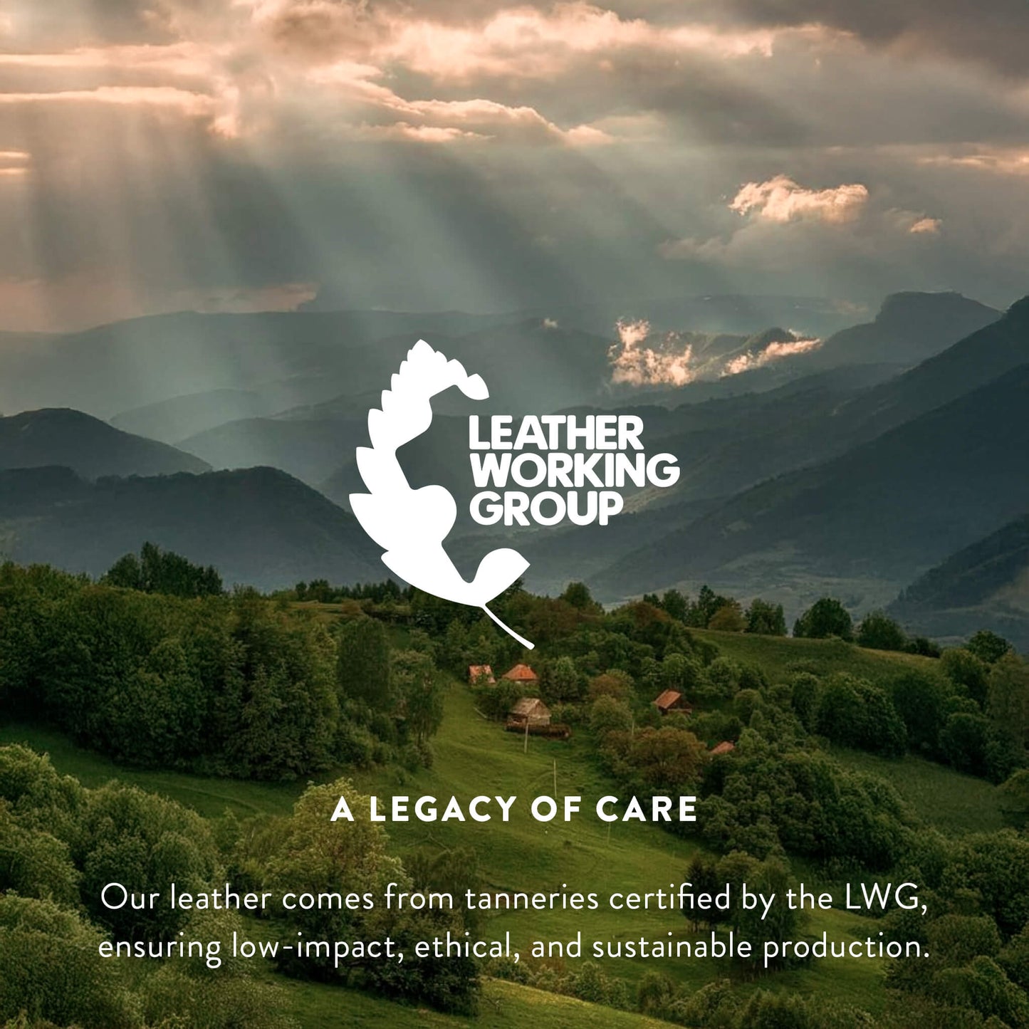 Light Brindle Brazilian Cowhide Rug: XXL