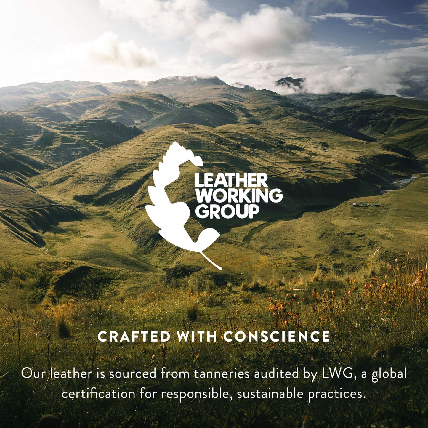 Mahogany Cowhide Rug