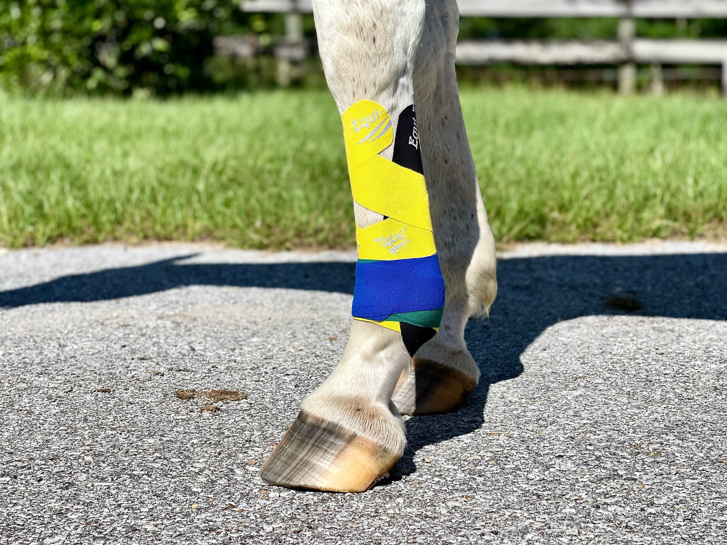 Equi-Tape® Advanced Education Package