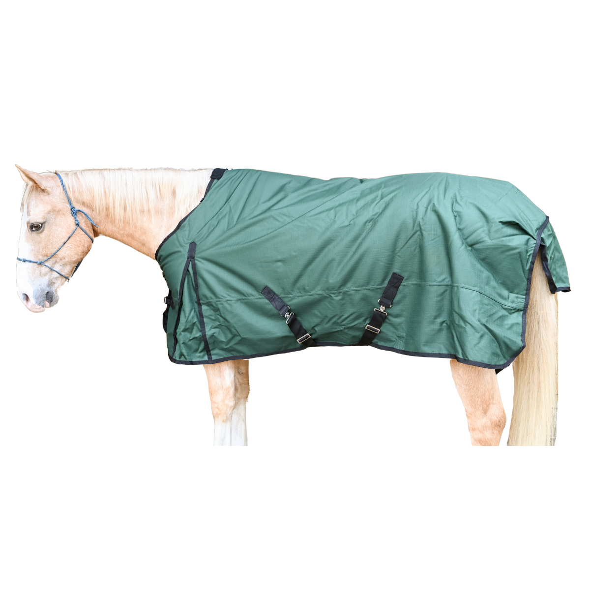 AJ Tack 1200D Horse Turnout Blanket with Storage Bag - Green