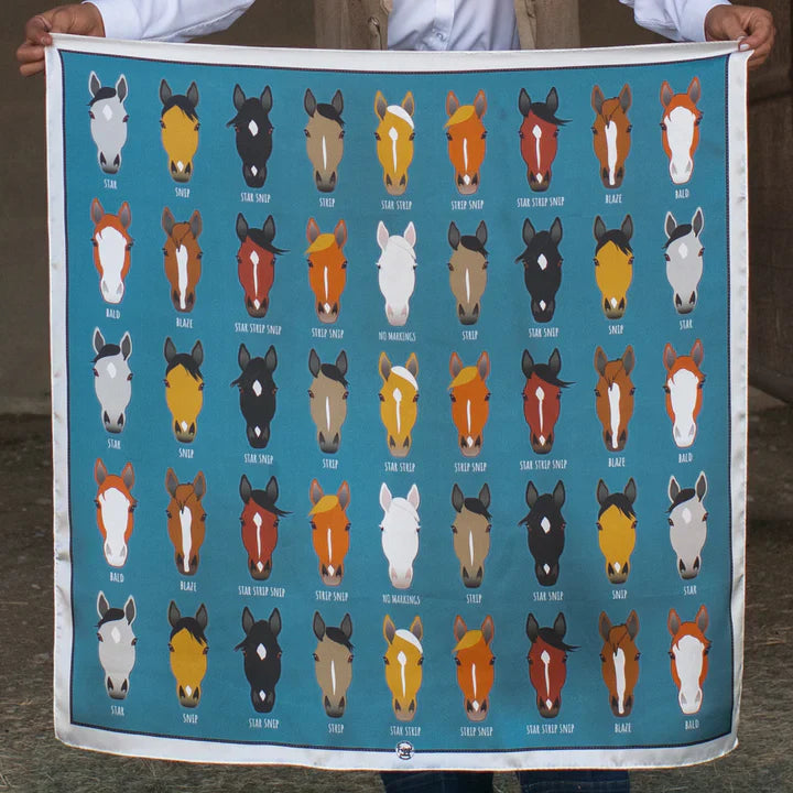 Markings Long Scarf - Blue