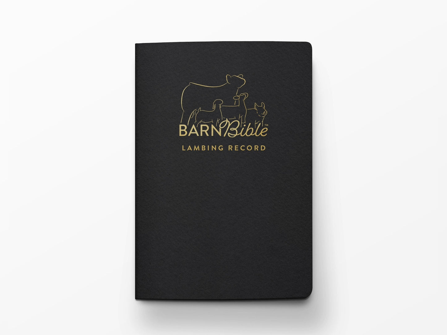 Mini Barn Bible™ Sheep Edition