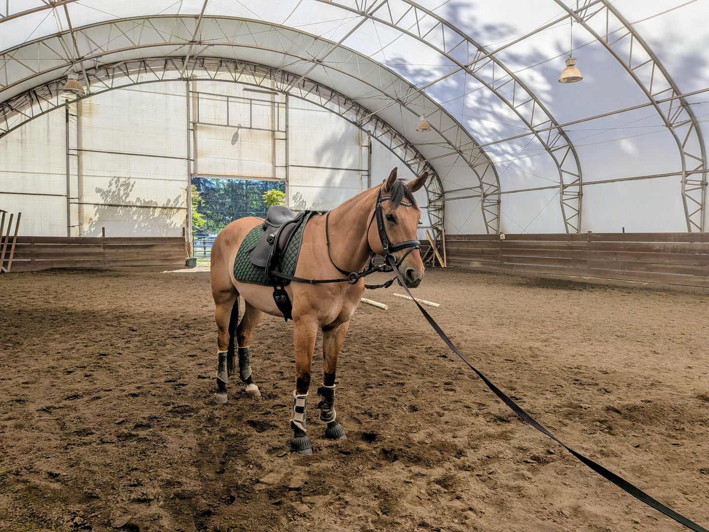 Nylon Lunge Lines