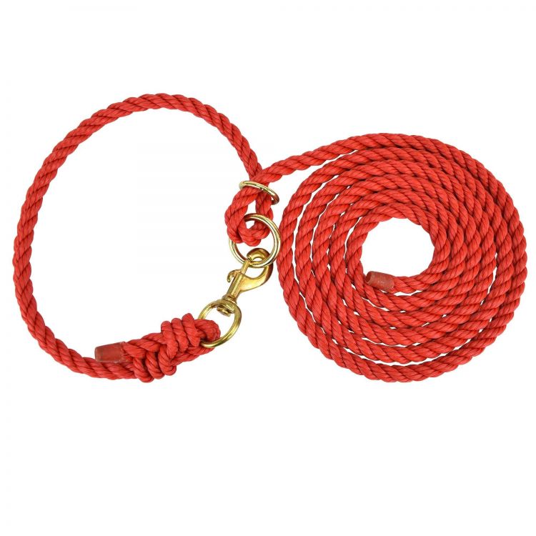 HAMILTON Adjustable halter with lead and snap,