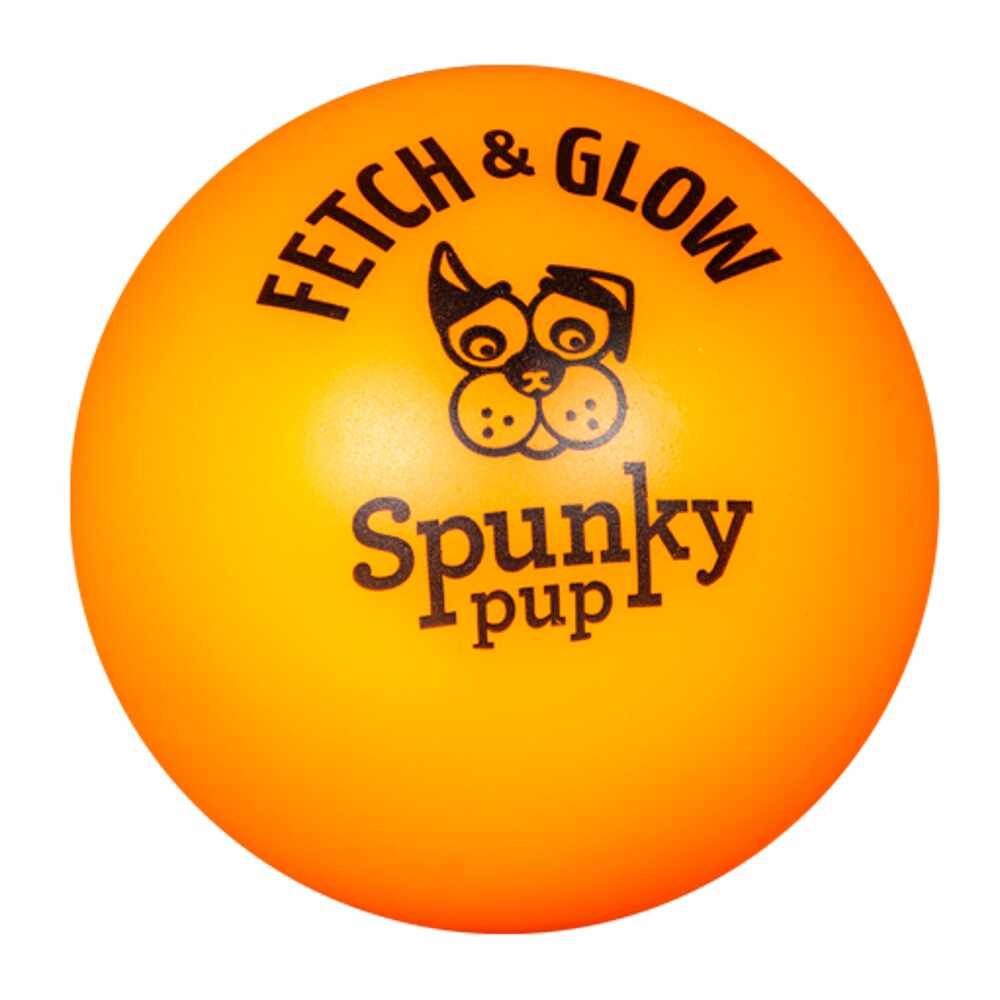 Fetch & Glow Ball Large