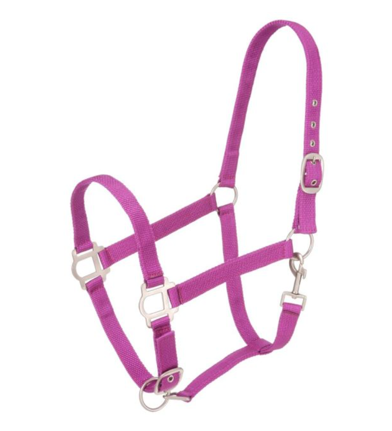 PURPLE - TOUGH1 NYLON HORSE HALTER WITH SATIN HARDWARE WITH SNAP