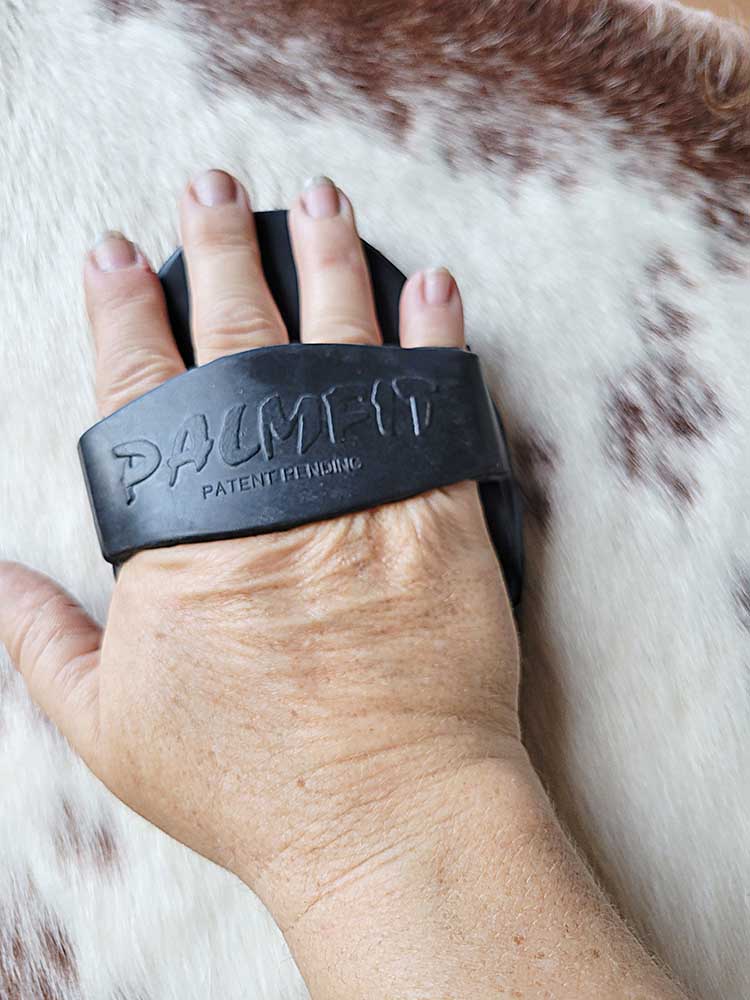 PalmFit Curry Comb