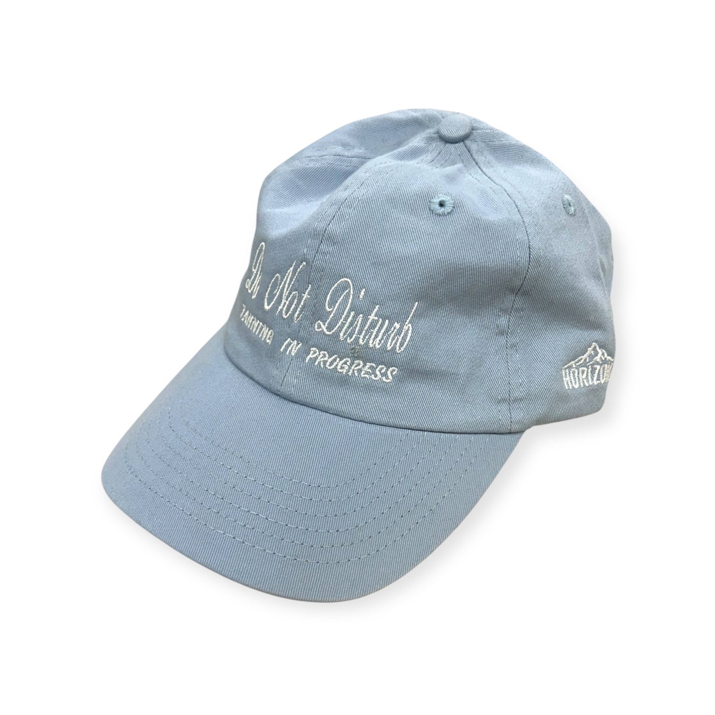 Do Not Disturb, Tanning in Progress Embroidery Hat - Different Styles