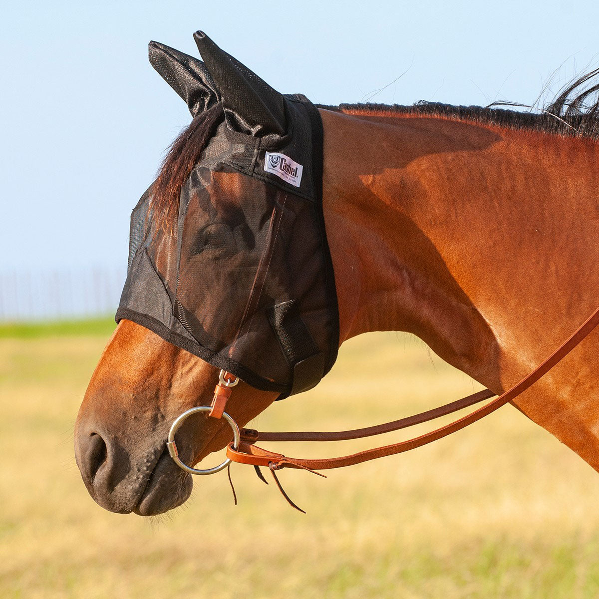 Cashel Quiet Ride Fly Mask with Ears for Horses, Lightweight Riding Protection