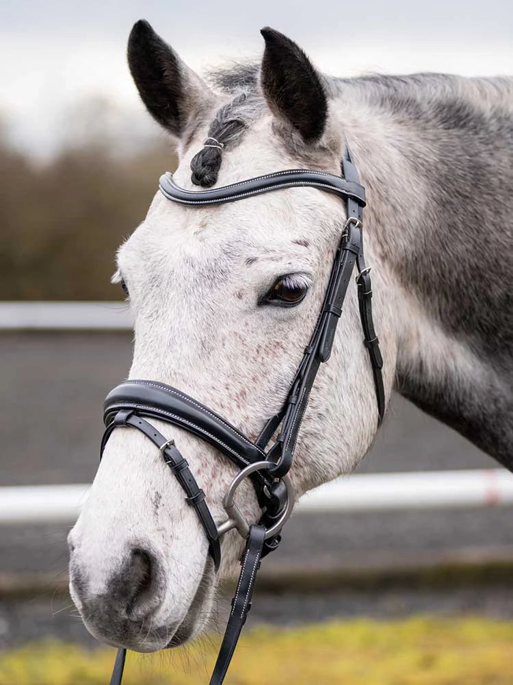 Quail Hollow Round Raised Snaffle Bridle