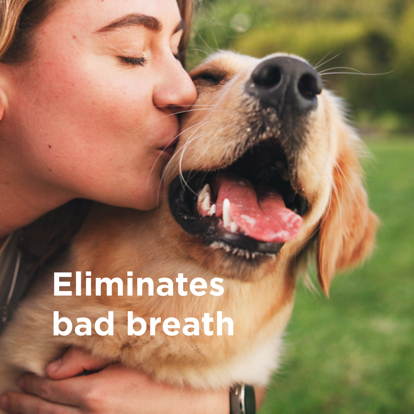 RESCUE™ Oral Spray for Dogs & Cats
