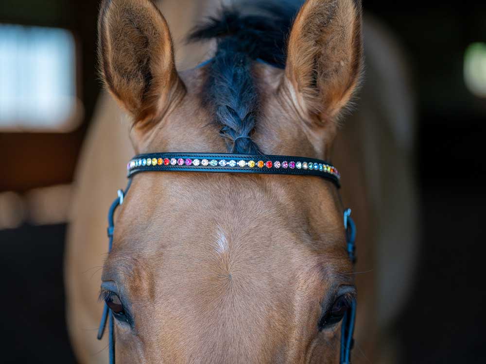 Rainbow Chain Browband