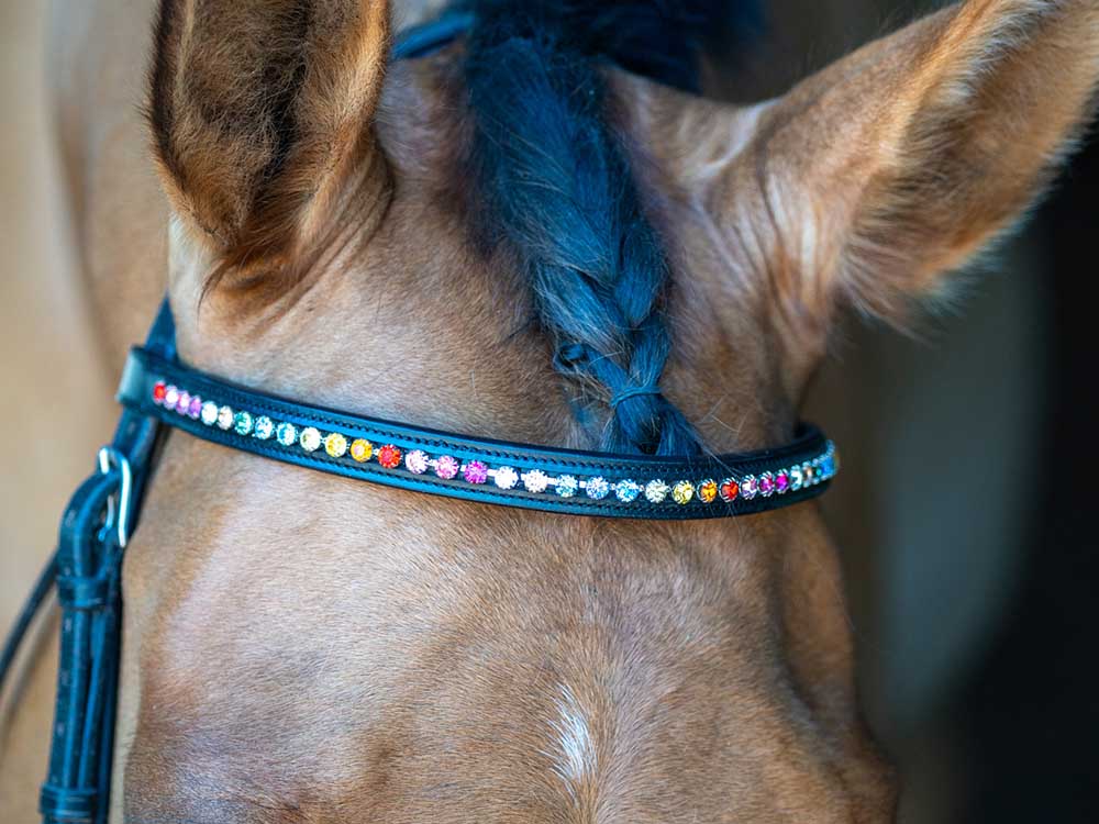 Rainbow Chain Browband