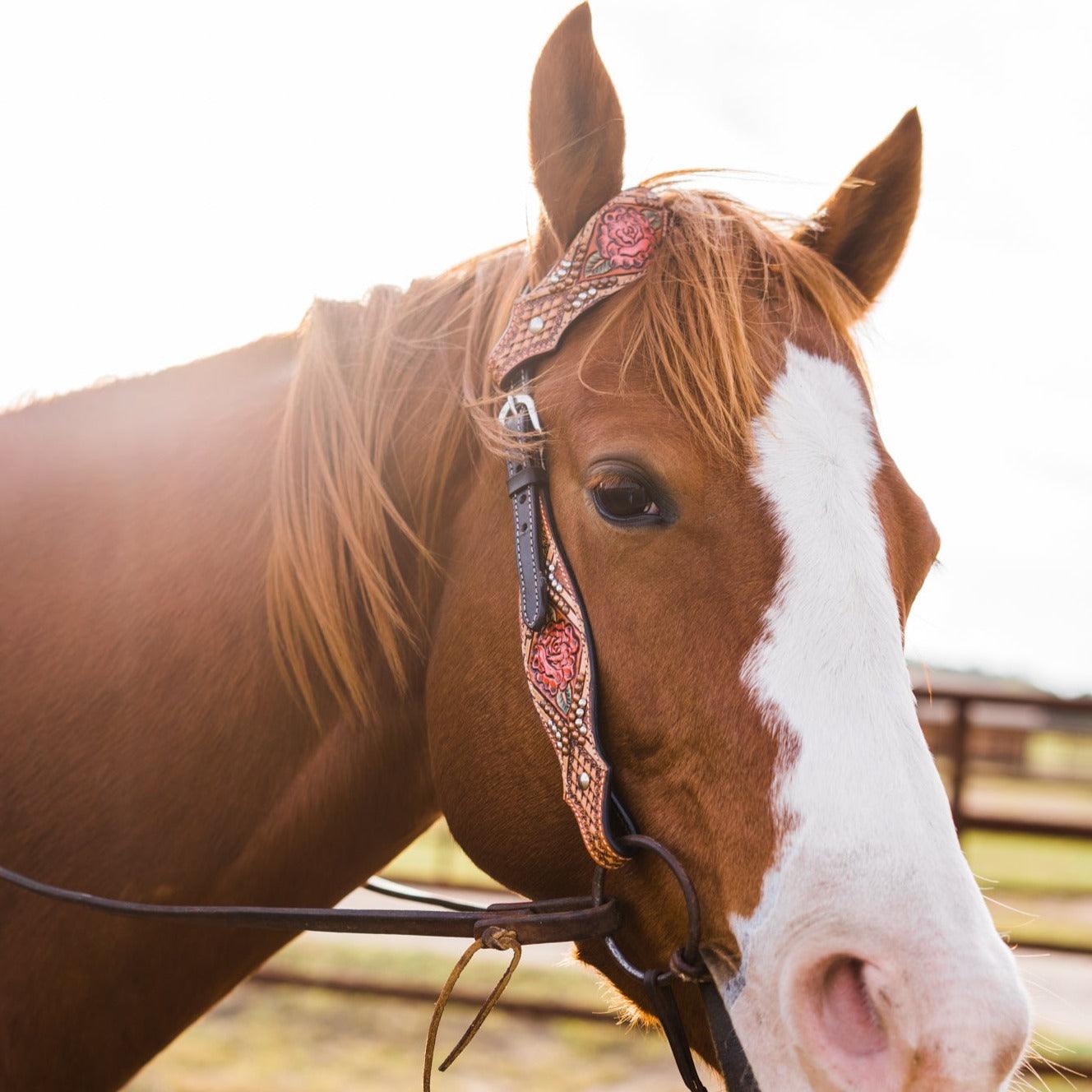 Light Oil Hand Painted Rose One Ear Headstall / Bridle #FK124