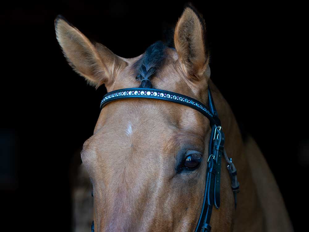 Rosalee Chain Browband