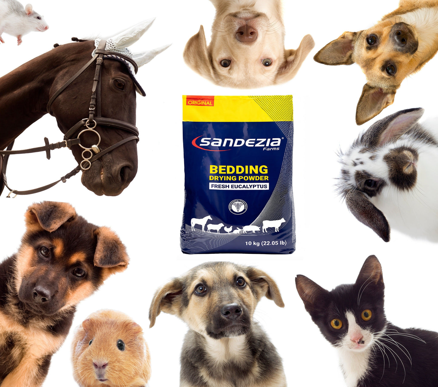 Sandezia Bedding Drying Powder 22 LBS #223376