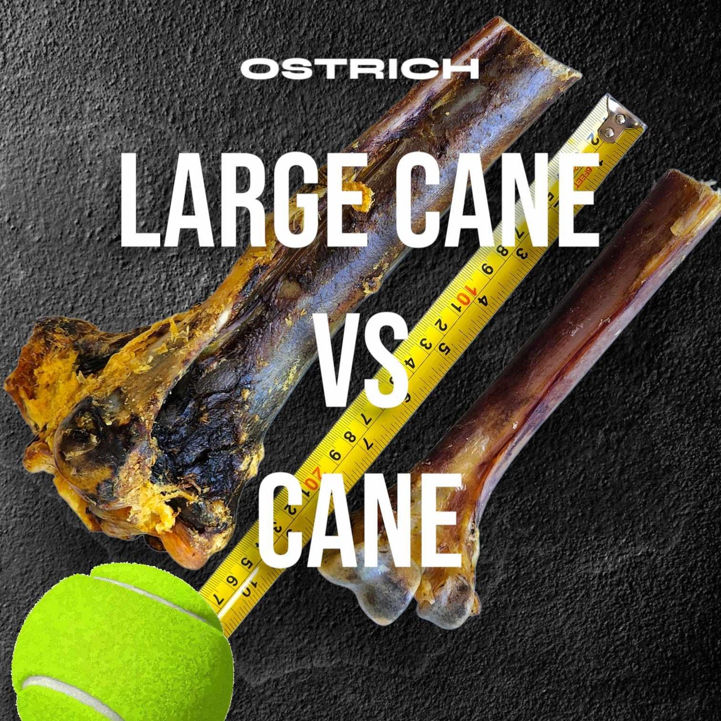 Large Ostrich Cane (11.5" x 5"): The Ultimate Long-Lasting Chew for Medium, Large & XL Dogs