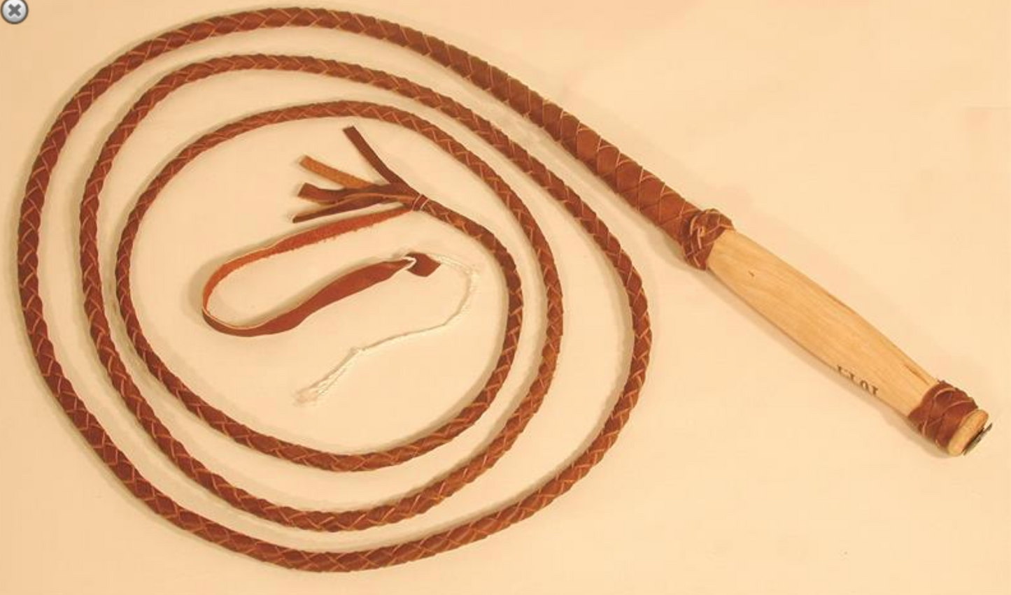 Whip Bull Economy