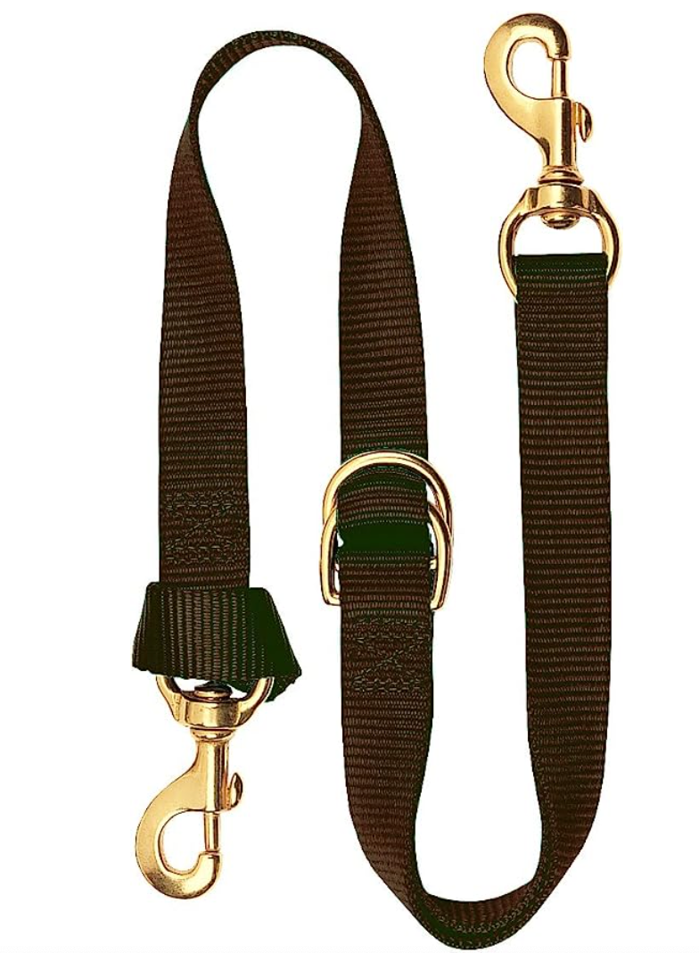 ADJUSTABLE TIE DOWN, 1" , TAN