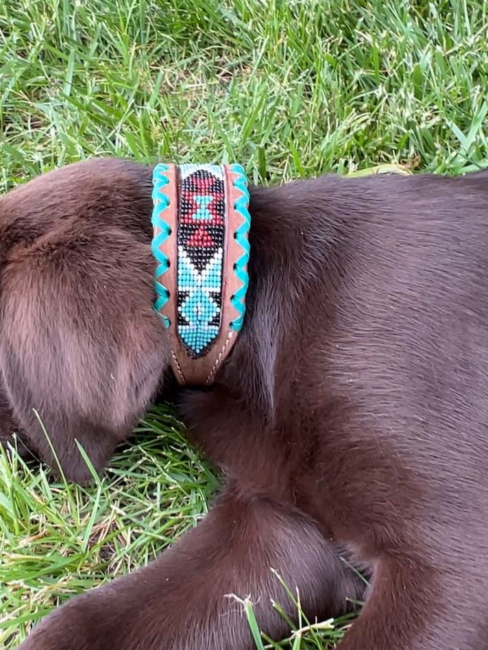 Genuine leather dog collar with teal, white, and burgundy beaded inlay design, a rawhide wrapped edge