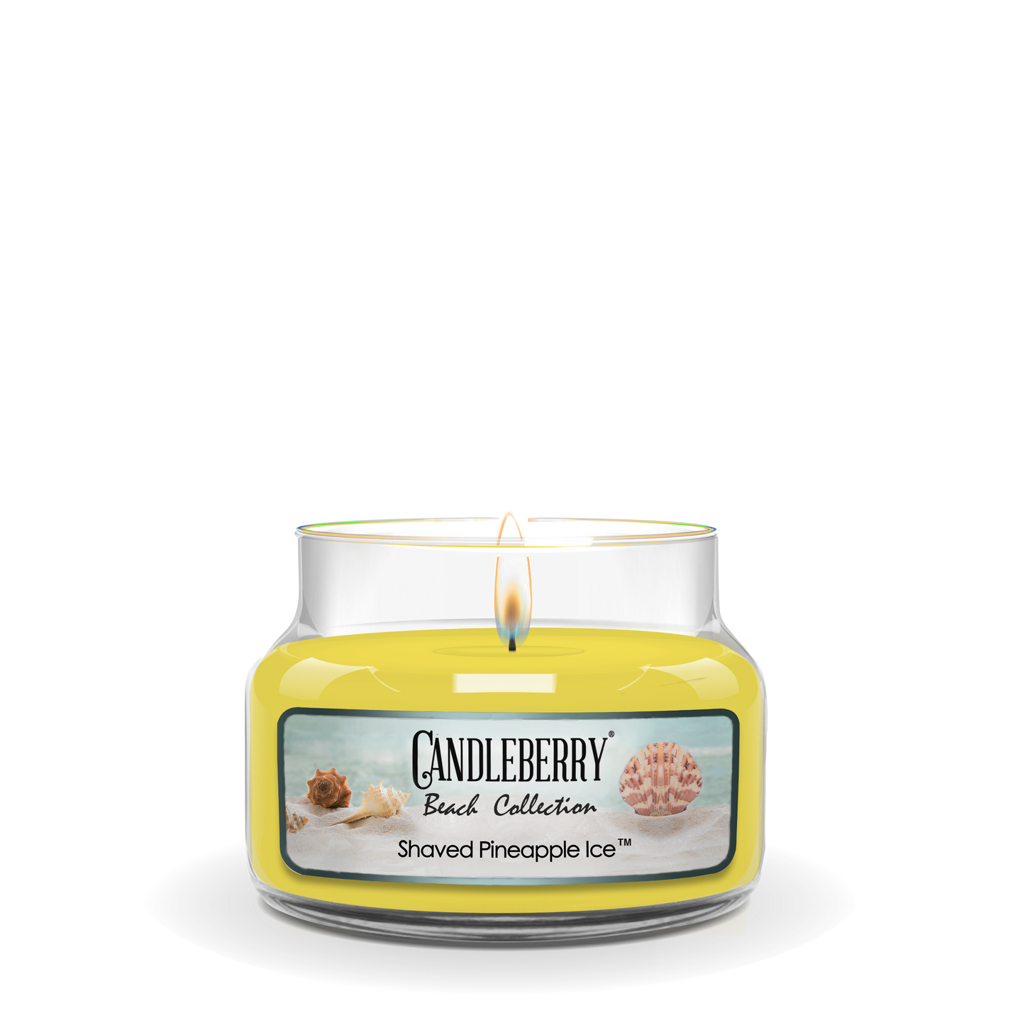 Beach Collection - Shaved Pineapple Ice™, Small Jar Candle (Collective)