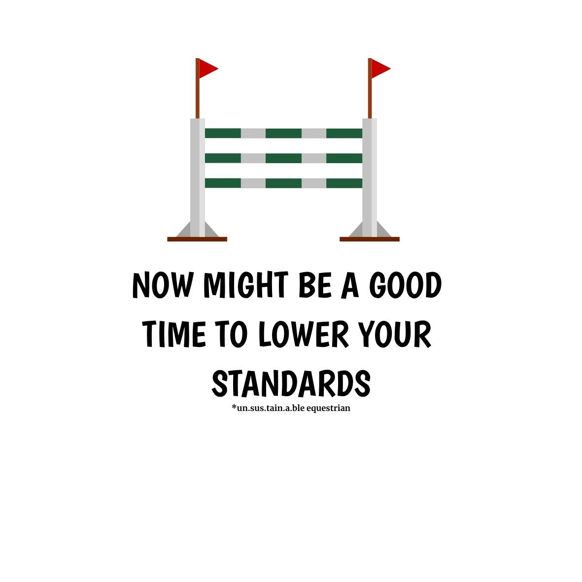 Die Cut Vinyl Stickers - 3x3 - Lower Your Standards
