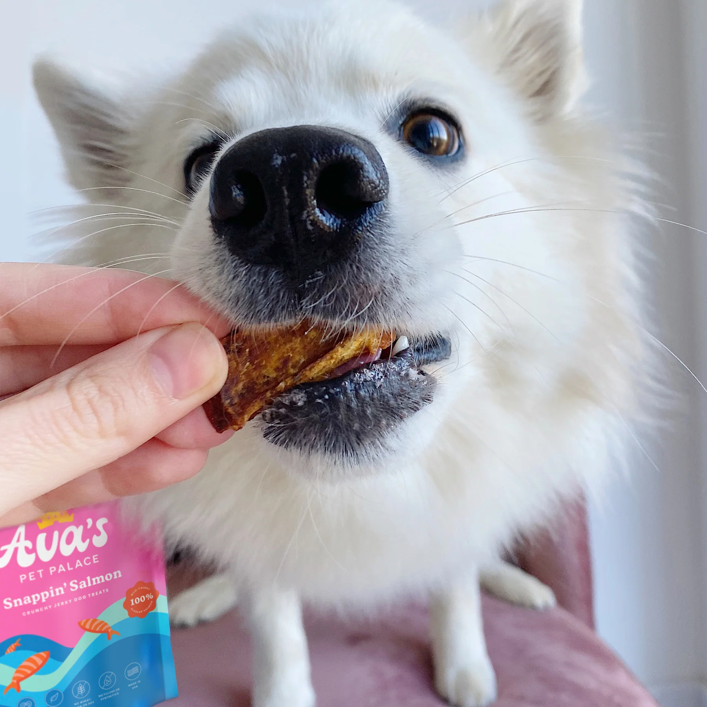 Ava's Pet Palace Crunchy Jerky Dog Treats - Snappin' Salmon Treats (4 oz)