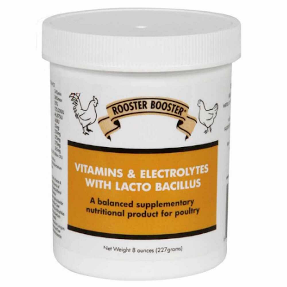 Rooster Booster: VITAMINS & ELECTROLYTES W/ LACTO BACILLUS - 8 OZ