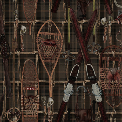 Snowshoes'