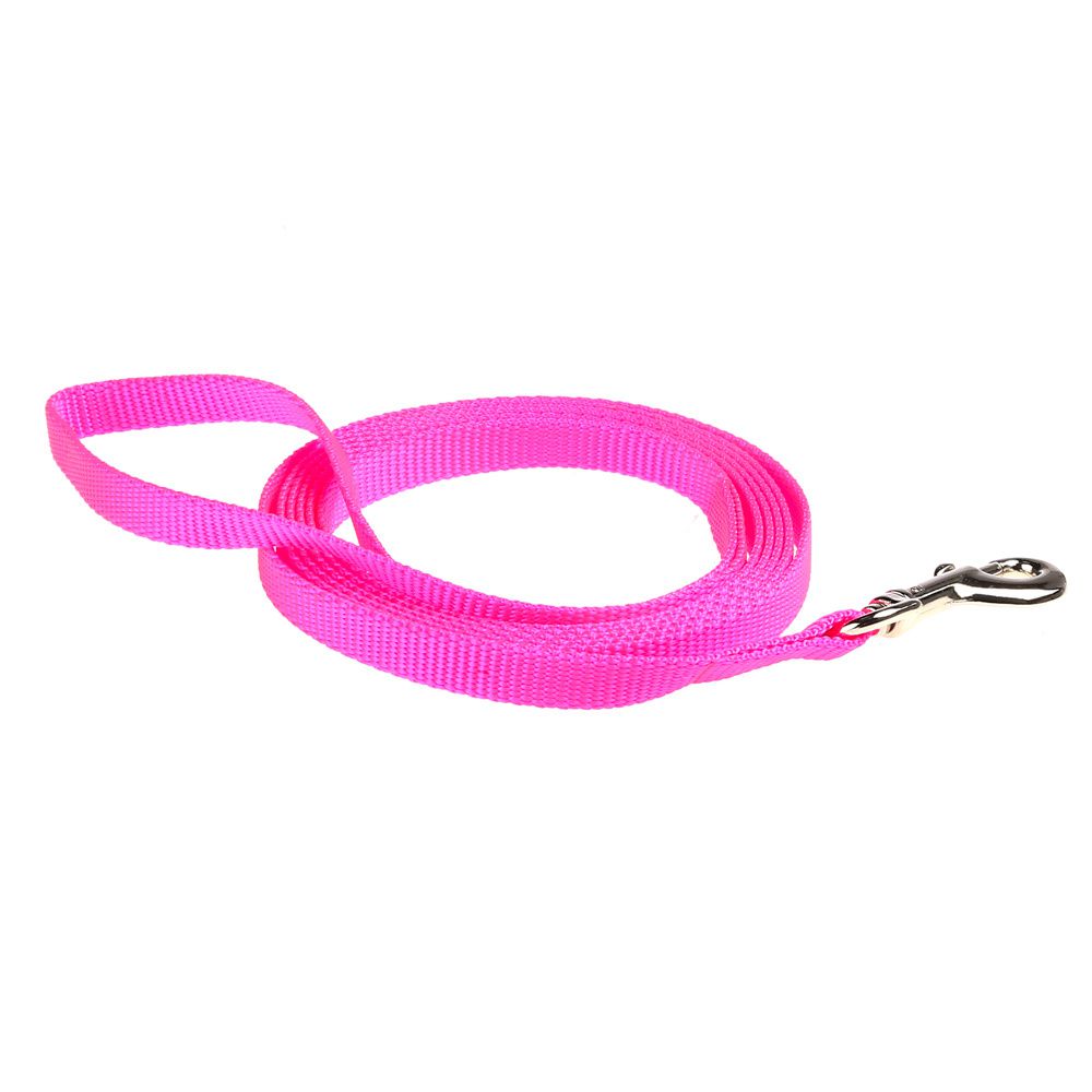 3/4" SINGLE LAYER NYLON LEASH HOTPINK 4'