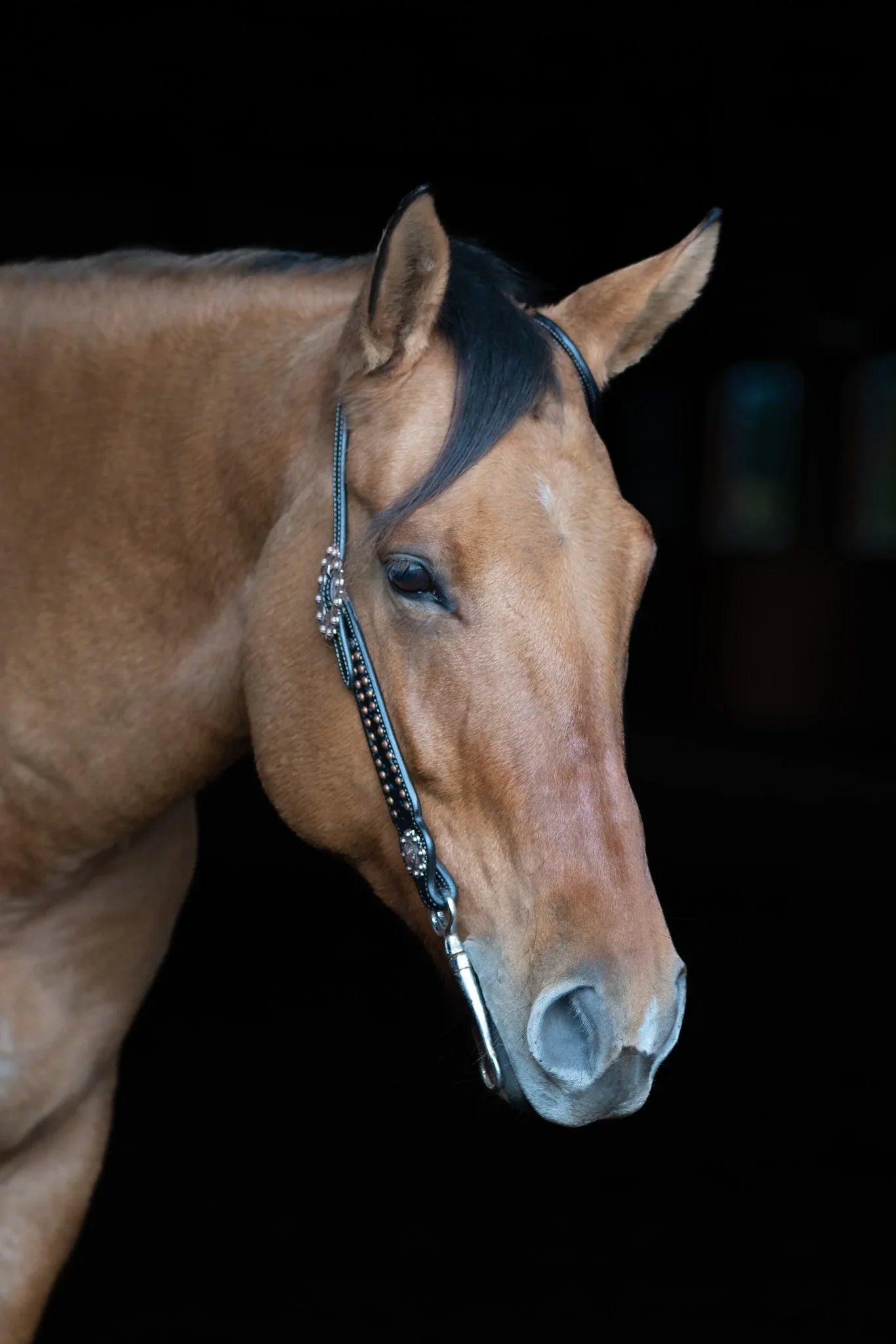 Ruston Headstall