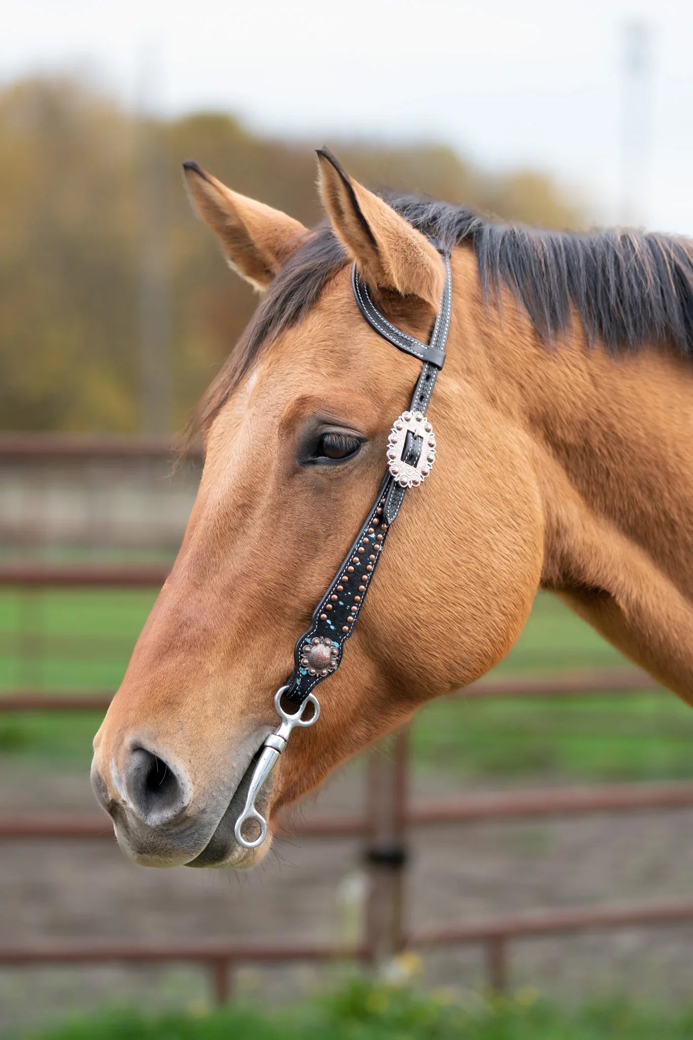 Ruston Headstall